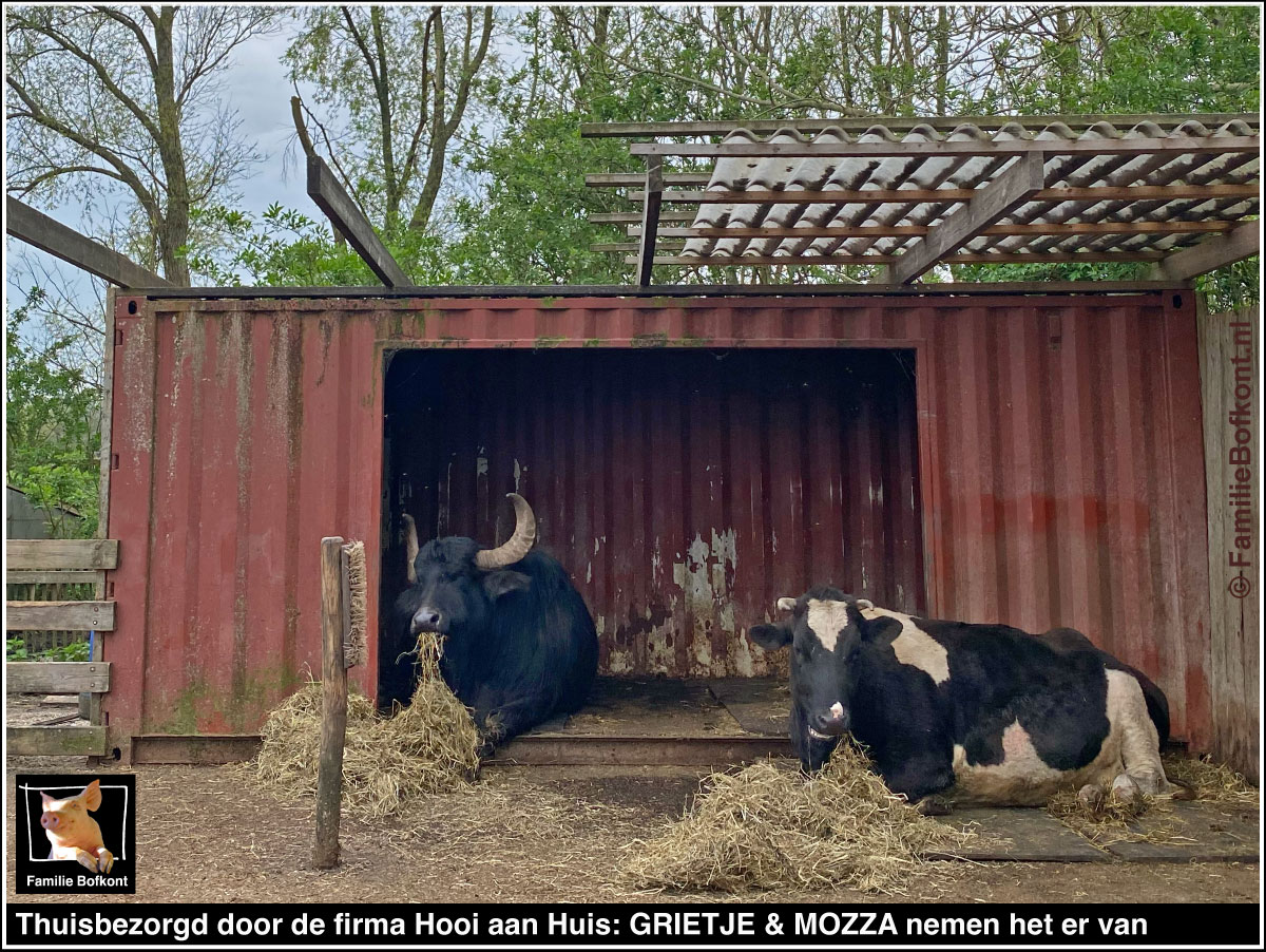 Thuisbezorgd door de firma Hooi aan Huis: GRIETJE & MOZZA nemen het er van
