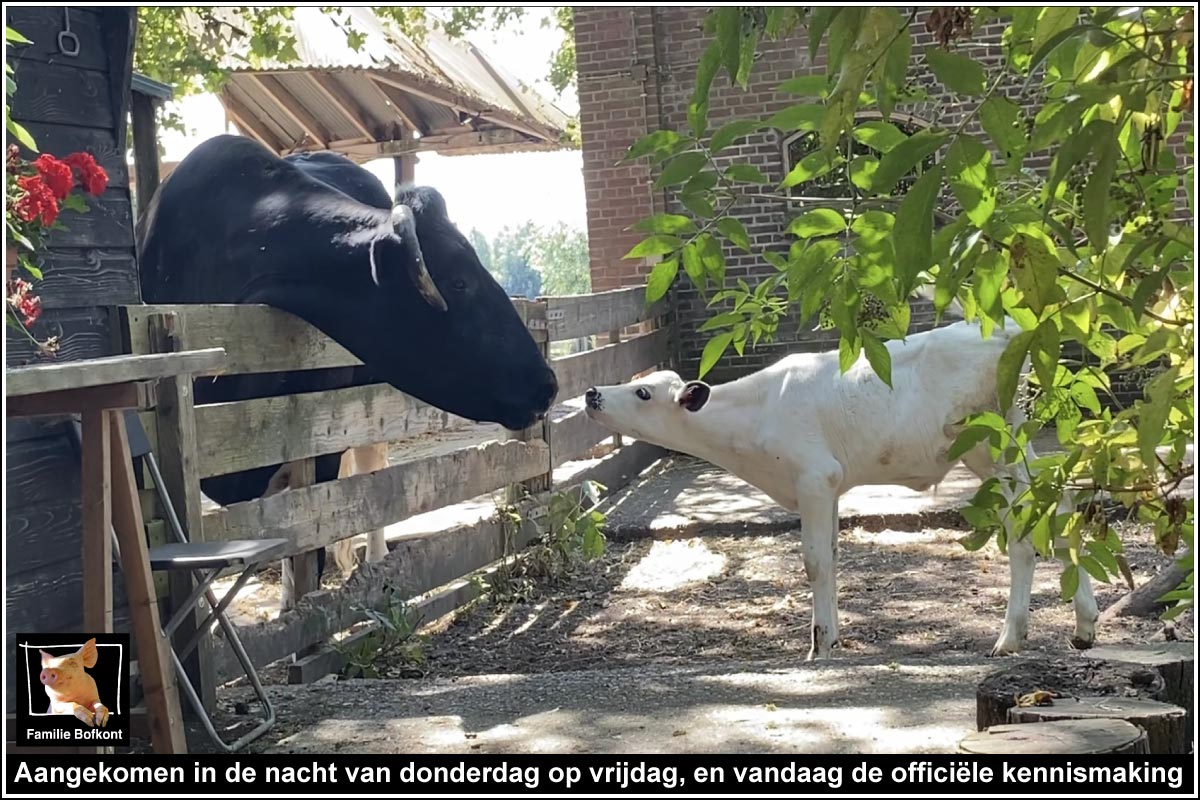 Aangekomen in de nacht van donderdag op vrijdag, en vandaag de officiƫle kennismaking