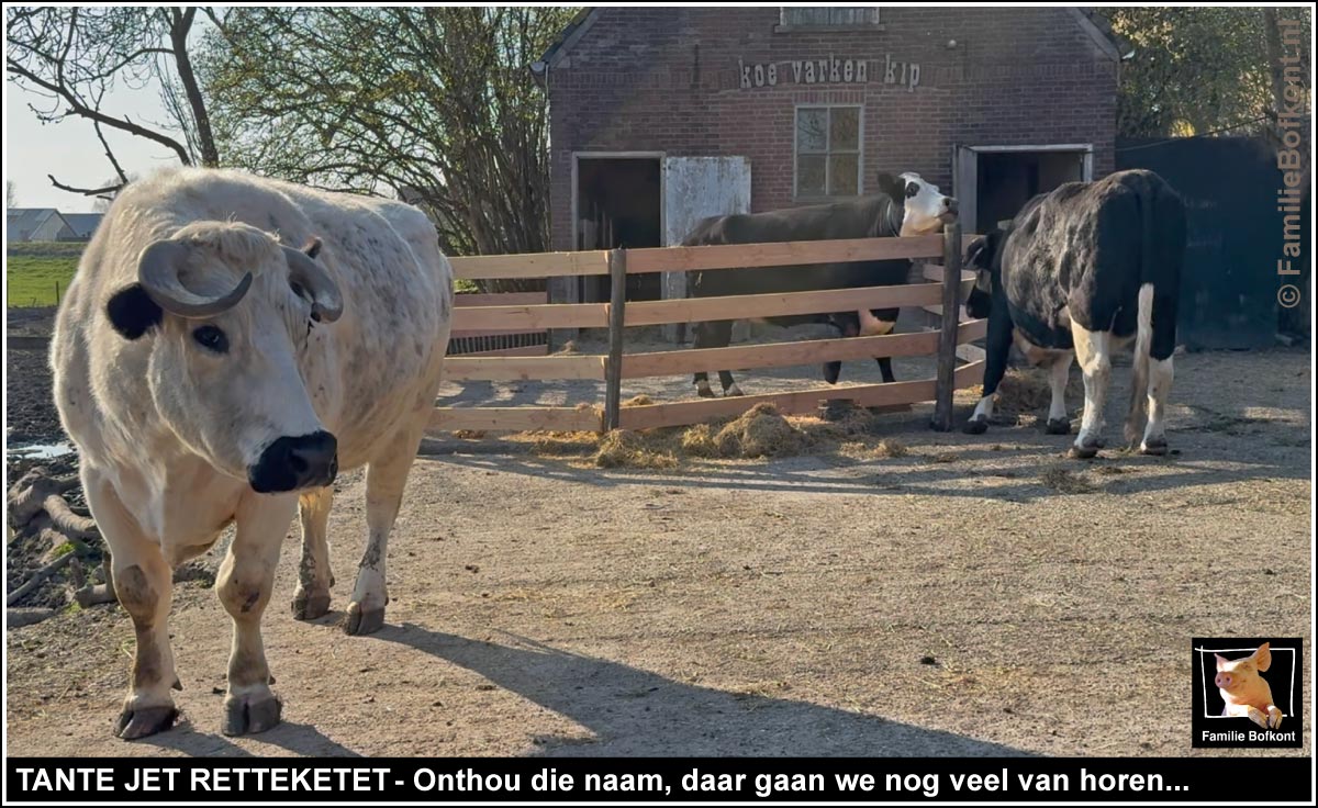 TANTE JET RETTEKET : Onthou die naam, daar gaan we nog veel van horen...