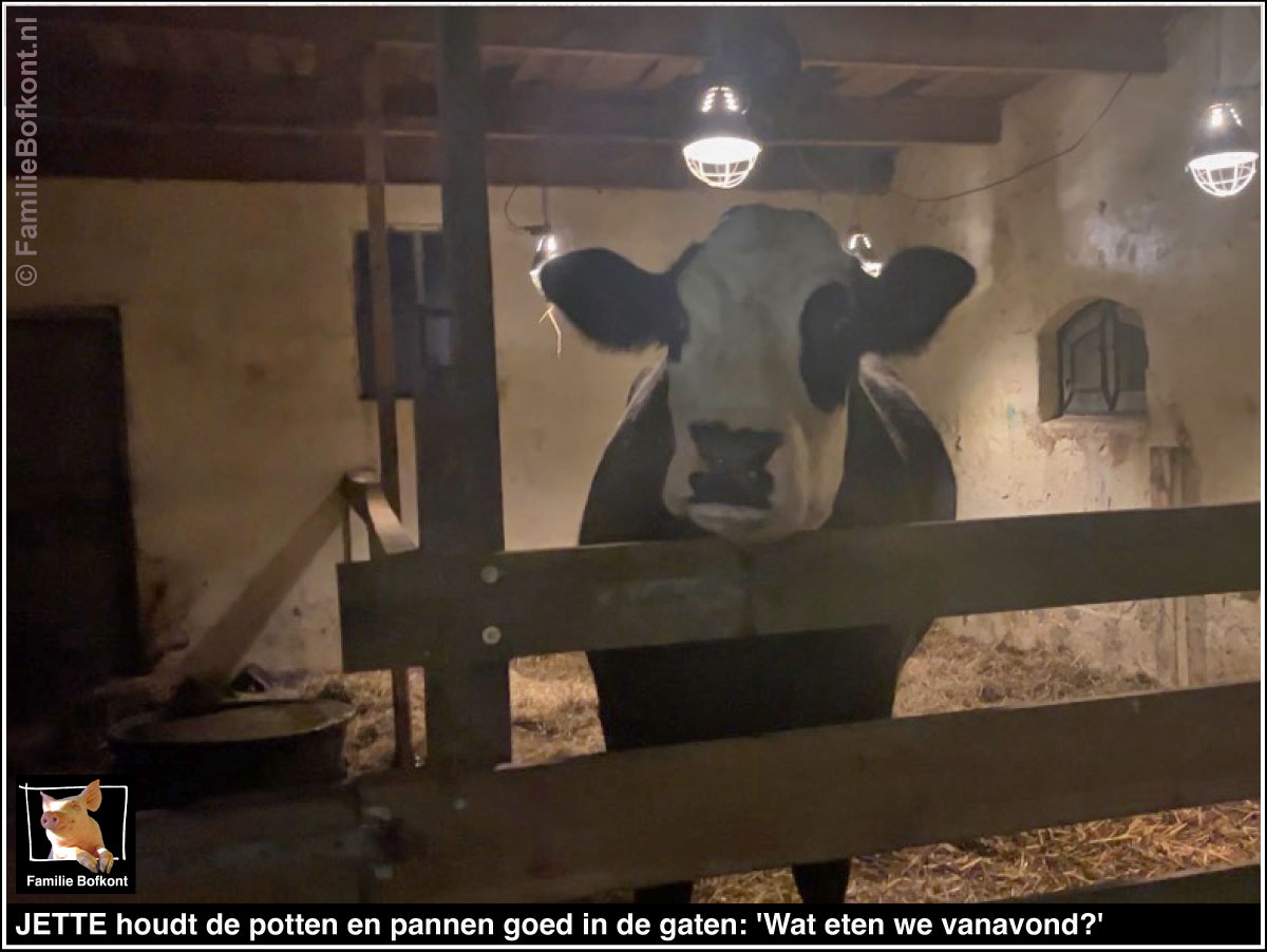 JETTE houdt de potten en pannen goed in de gaten: Wat eten we vanavond?