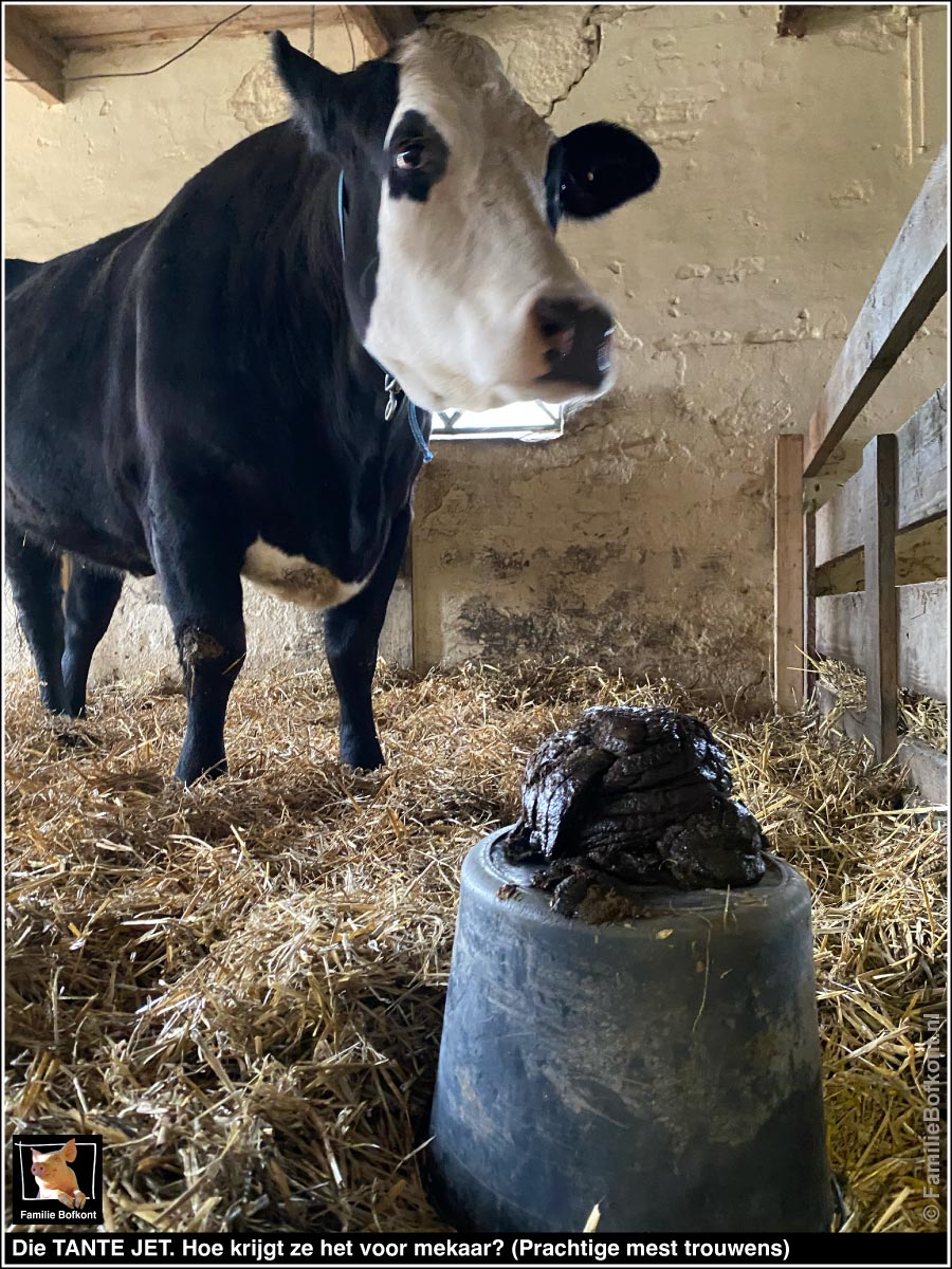 Die TANTE JET. Hoe krijgt ze het voor mekaar? (Prachtige mest trouwens)