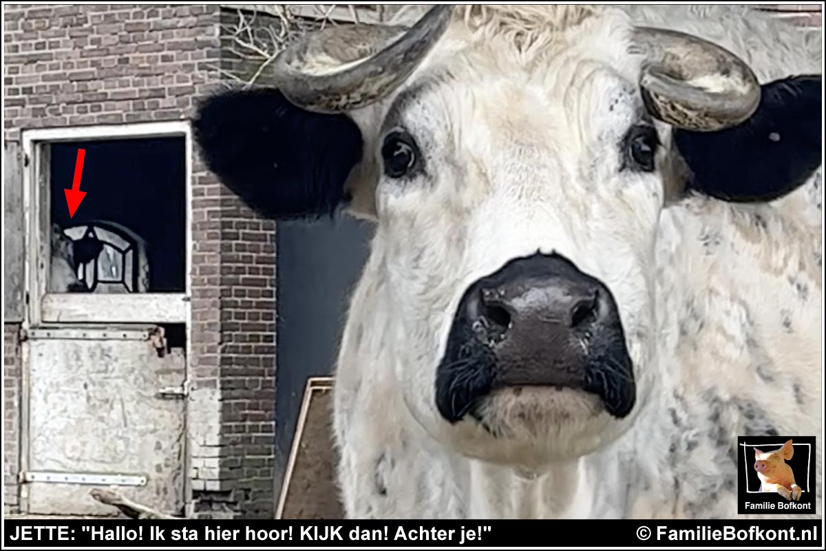 JETTE: Hallo! Ik sta hier hoor! KIJK dan! Achter je!