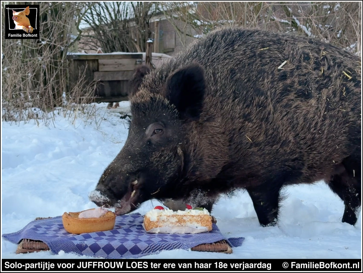 Solo partijtje voor JUFFROUW LOES ter ere van haar 18e verjaardag