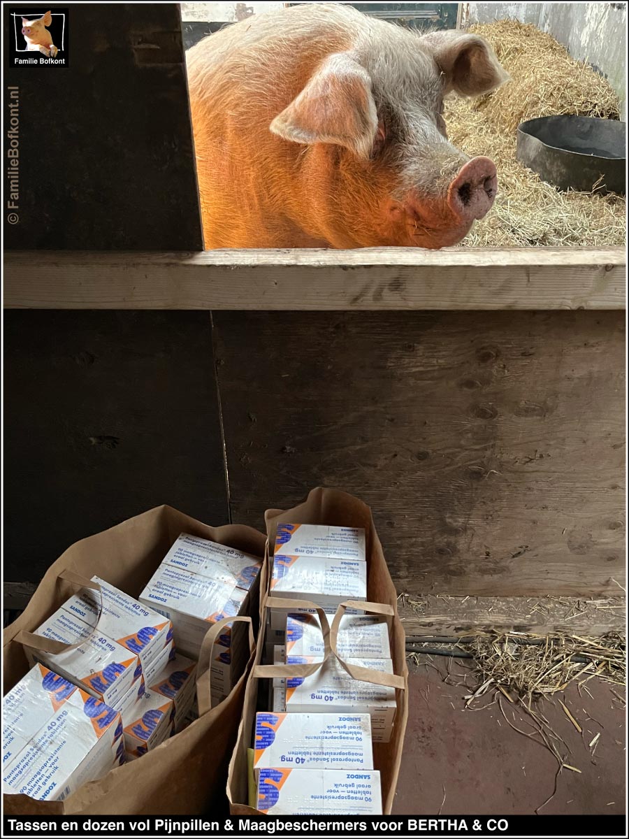 Tassen en dozen vol Pijnpillen & Maagbeschermers voor BERTHA & CO