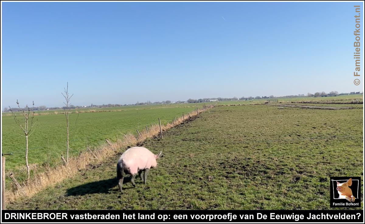 DRINKEBROER vastberaden het land op: een voorproefje van De Eeuwige Jachtvelden?
