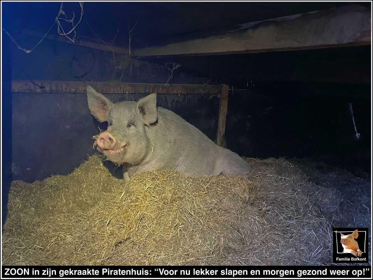 ZOON in zijn gekraakte Piratenhuis: Voor nu lekker slapen en morgen gezond weer op!