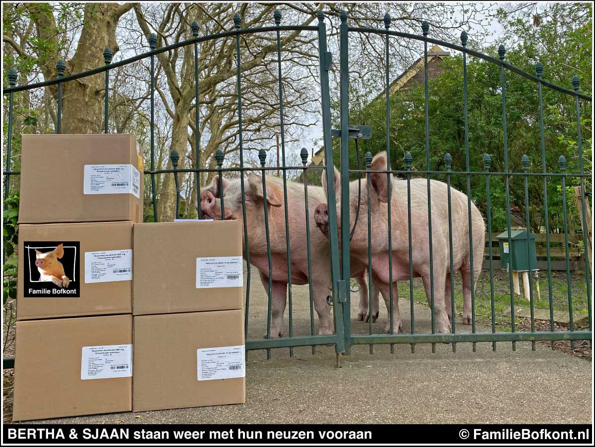 BERTHA & SJAAN staan weer met hun neuzen vooraan