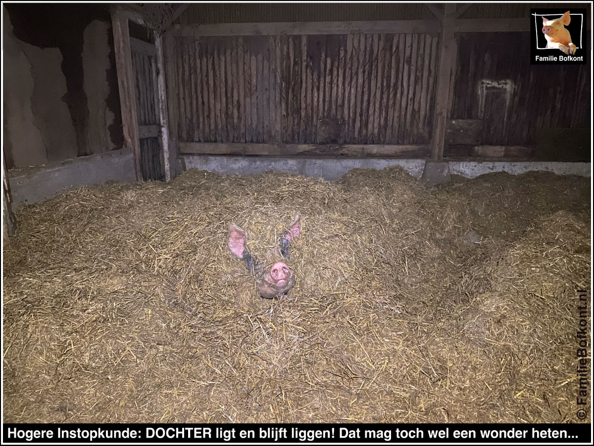 Hogere Instopkunde: DOCHTER ligt en blijft liggen! Dat mag toch wel een wonder heten...