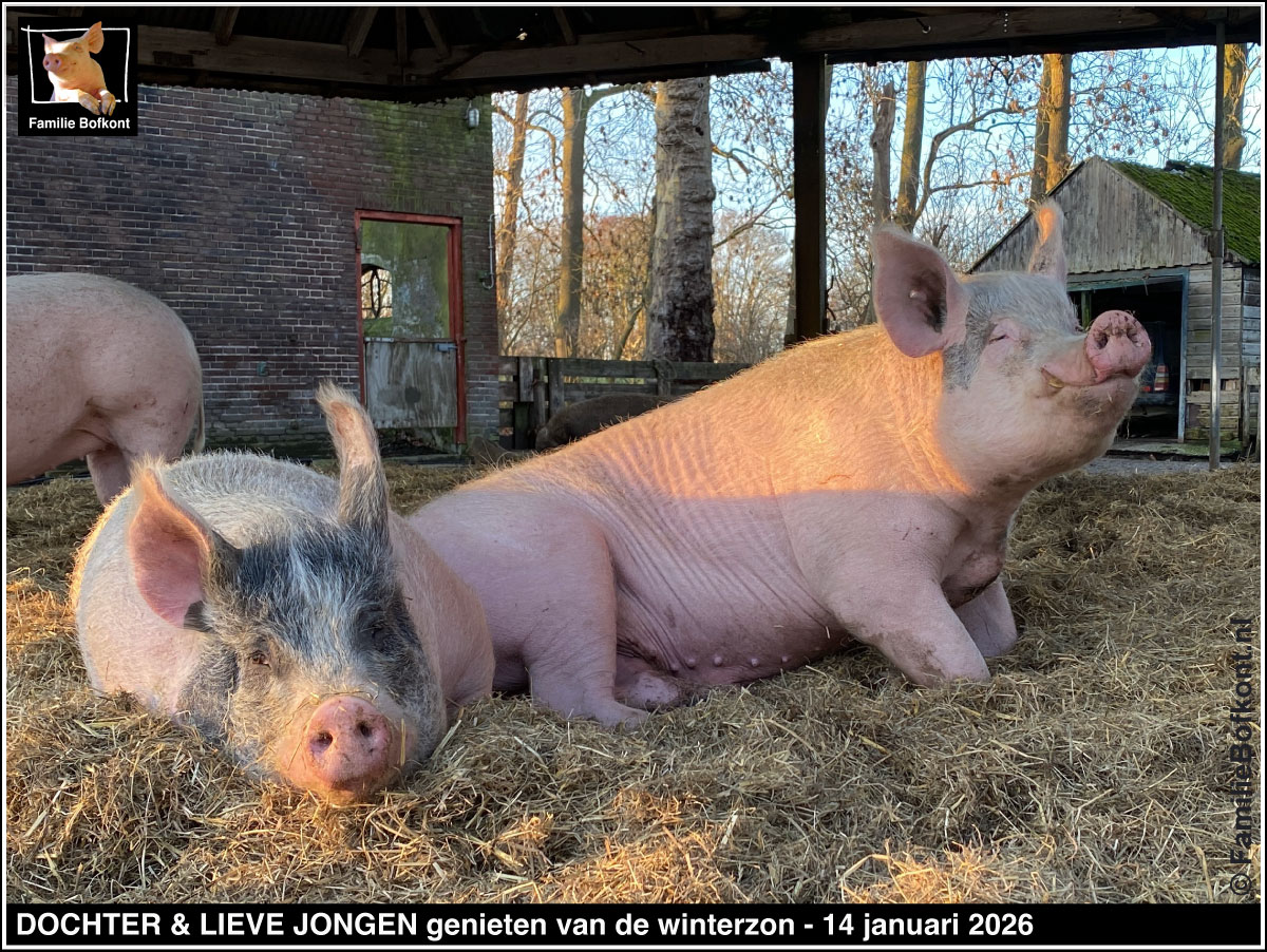 DOCHTER & LIEVE JONGEN genieten van de winterzon - 14 januari 2026