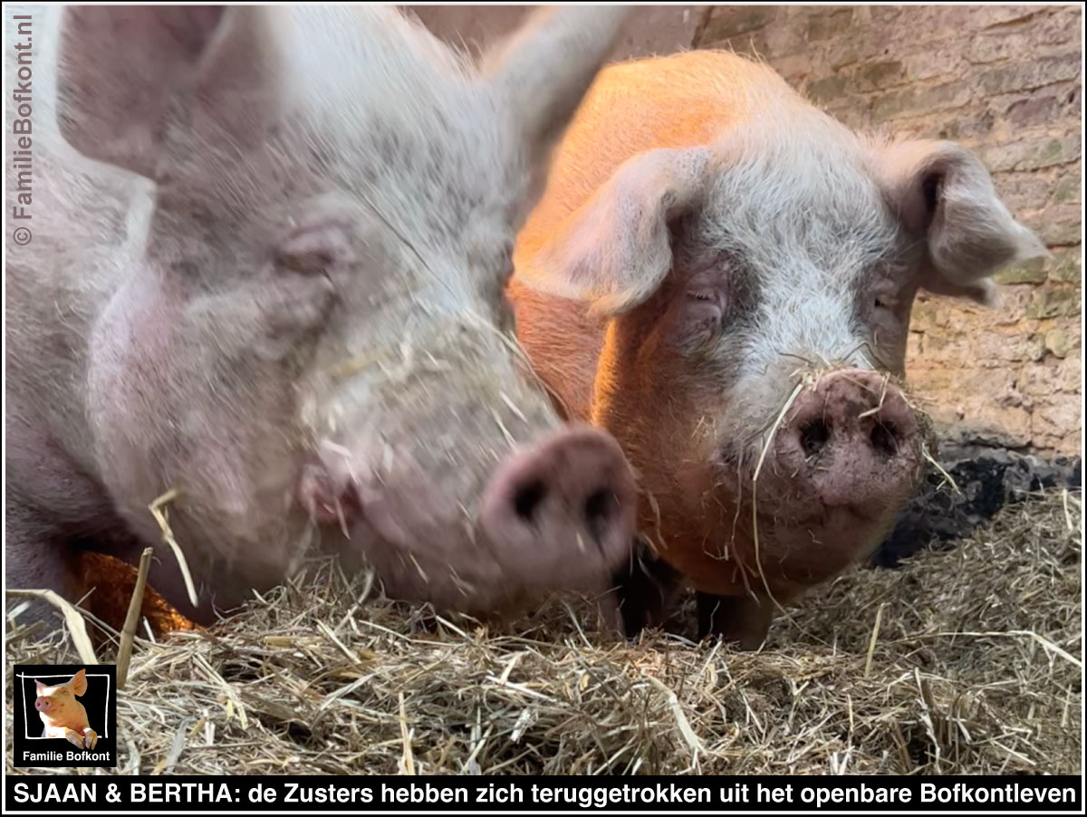 SJAAN & BERTHA: de Zusters hebben zich teruggetrokken uit het openbare Bofkontleven