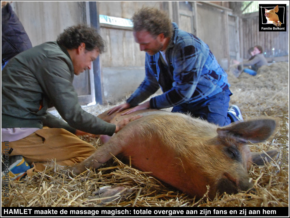 HAMLET maakte de massage magisch: totale overgave aan zijn fans en zij aan hem