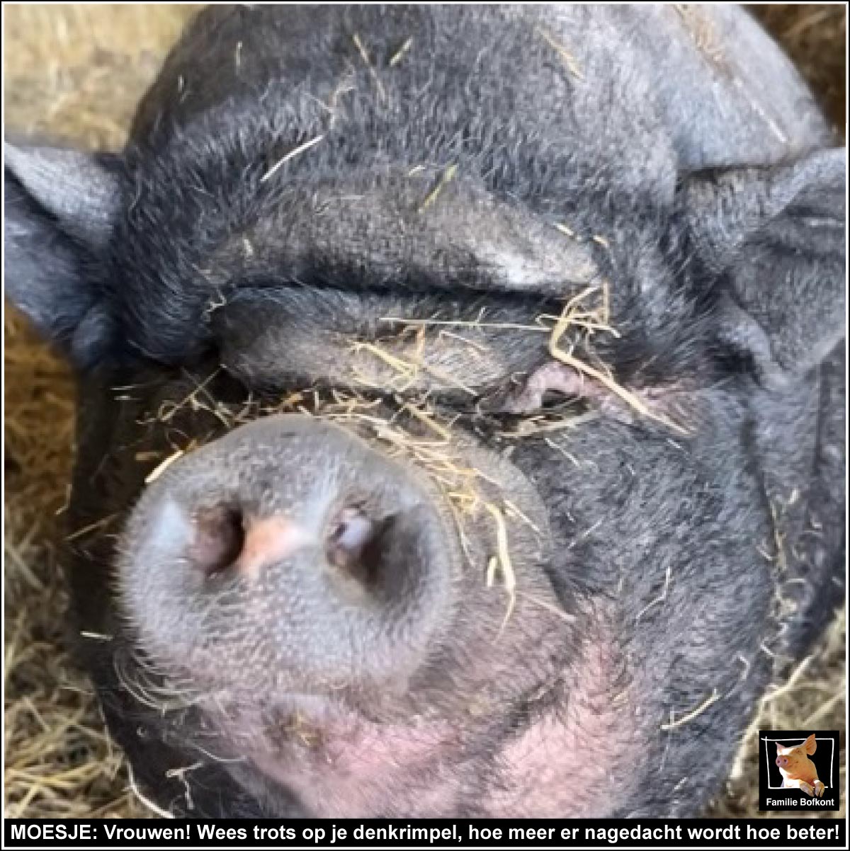 MOESJE: Vrouwen! Wees trots op je denkrimpel, hoe meer er nagedacht wordt hoe beter!